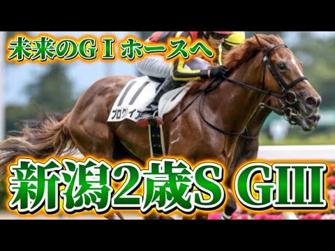 新潟2歳S GⅢ 2024 予想　#競馬予想 #新潟2歳ステークス #チャンネル登録よろしくお願いいたします