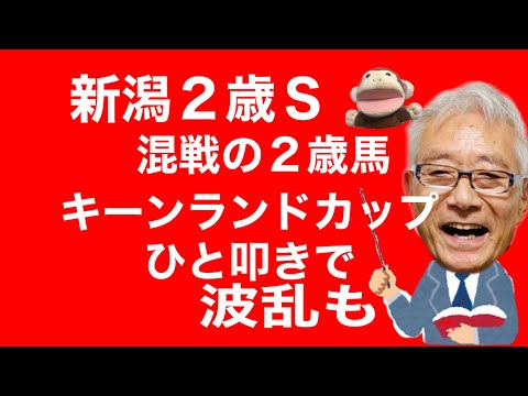 【競馬予想】新潟2歳SとキーンランドＣを徹底解説