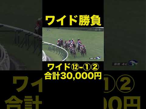 【競馬】馬券勝負！ワイド30,000円買ってみた！#競馬予想 #競馬