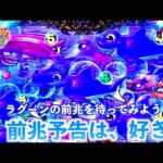 映像のみ【大海4 ライブ配信】ラグーンモードの泡前兆予告は、好き！？🫧このドキドキ感がヨダレ案件かも🤤　＃おじパチ日記　＃パチンコライブ　＃パチンコ実機　＃大海物語４　＃海物語パチンコ　＃大海物語