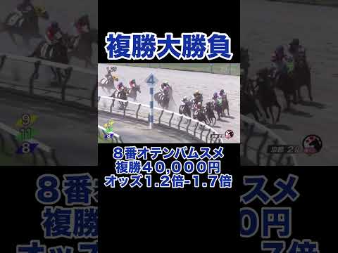 【競馬】馬券勝負！複勝40,000円買ってみた＃競馬 #競馬予想 #ギャンブル