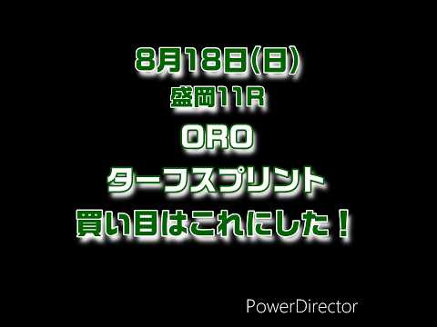 8/18 OROターフスプリント #競馬 #中央競馬 #競馬予想 #shorts