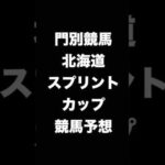 #競馬予想 #北海道スプリントカップ #北海道スプリントC  #競馬 #地方競馬  #門別競馬 #shorts