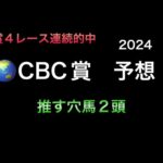 【競馬予想】　CBC賞　2024  予想