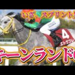 キーンランドカップGⅢ 2024 予想　#競馬 #競馬予想 #キーンランドカップ