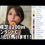 競馬予想【キーンランドカップGⅢ 2024.8.25】この人気なら！期待値あるなぁ