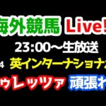 【海外競馬Live!!】ドゥレッツァ登場!! 2024 英インターナショナルS【ドゥレッツァ応援ライブ 23:00～】