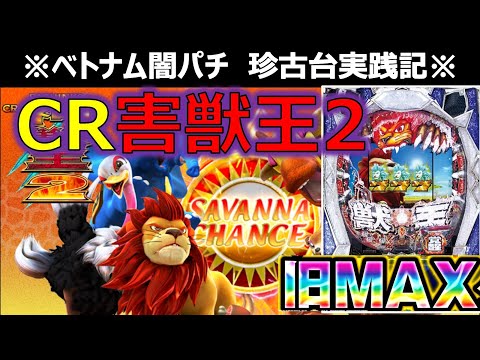 【ベトナム　パチンコ実践】旧MAX機の恐怖！？　闇パチ珍古台実践記 ver20【CR神獣王 399ver】