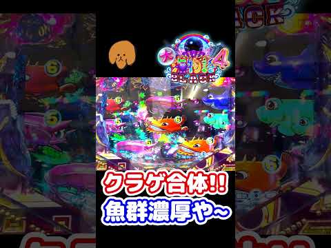 クラゲ合体は魚群の合図!!コレは期待大!!【P大海物語4スペシャルBLACK】 #p大海物語 #パチンコ #大海物語