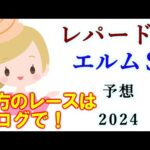 【競馬】レパードS エルムS  2024 予想(土日夕方の新潟競馬予想はブログで)