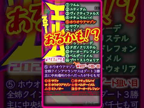 【エルムS2024】怪しい。こんなオイシイ話ある？【１分競馬予想】根拠：逃げより先行・マクリ、3枠より外、前走マリーンS、OP・条件組優勢、など。今年は逃げ先行が多く、好位またはマクる馬で勝負したい。