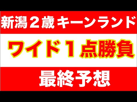 【競馬予想】２０２４新潟２歳S　キーンランドC　最終予想