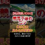 【実は間違いだらけ】 競馬予想のコツ教えます #Shorts #競馬予想 #競馬