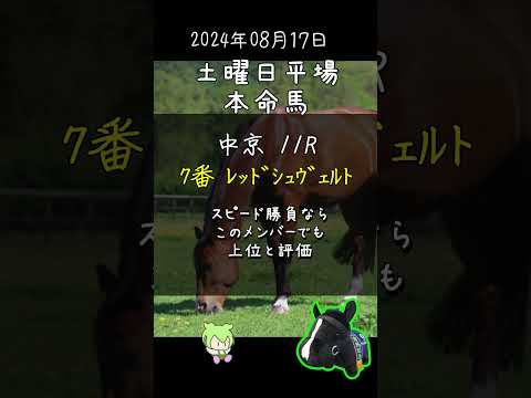 【競馬予想】土曜日 平場レース 本命馬 #Shorts