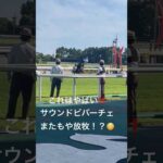 サウンドビバーチェまたもや放牧！？#競馬 #競馬予想 #サウンドビバーチェ#jra