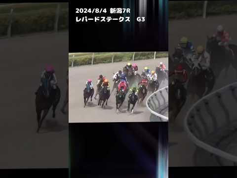 レパードステークス　もちおの当たらない予想 #競馬 #競馬予想 #レパードステークス