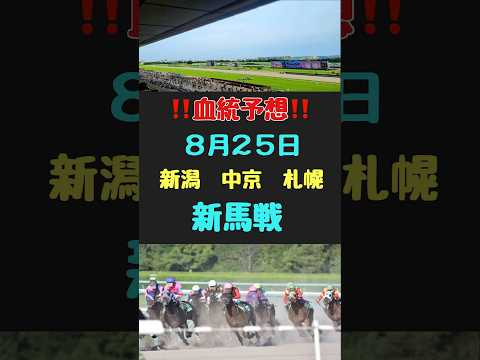 #競馬 #競馬予想 #競馬血統 #競馬女子 #血統予想 #新馬戦