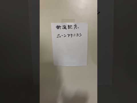 ヨッシーの競馬予想　新潟記念