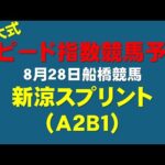 【新涼スプリント２０２４】東大式スピード指数による競馬予想