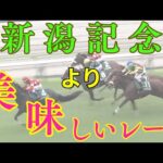 【競馬予想】新潟記念の本命と穴馬！それ以上に美味しいレースもご紹介！！