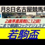 【競馬予想】若駒盃！～２０２４年８月８日 名古屋競馬場 ：８－２４