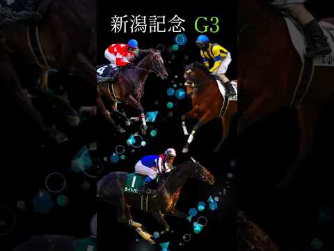 新潟記念2024予想　#競馬 　#競馬予想 　#新潟記念