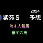 【競馬予想】　紫苑ステークス　2024  予想