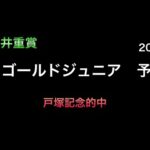 【競馬予想】　大井重賞　ゴールドジュニア　2024  予想