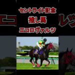 【セントライト記念2024予想】 #競馬 #競馬予想 #投資競馬 #中央競馬 #ローズステークス #セントライト記念 #単勝 #複勝