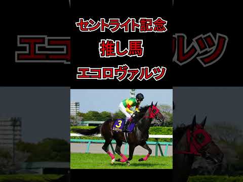 【セントライト記念2024予想】 #競馬 #競馬予想 #投資競馬 #中央競馬 #ローズステークス #セントライト記念 #単勝 #複勝