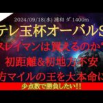 【 最終結論 】テレ玉杯オーバルスプリント 2024 予想 スレイマンは買えるのか？初距離&初地方不安地方マイルの王を大本命に！！【地方競馬予想】