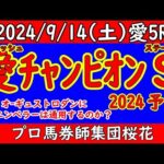 アイリッシュチャンピオンステークス2024競馬予想！シンエンペラーが凱旋門賞前哨戦に挑む！迎え撃つのは昨年の覇者オーギュストロダンや今年の愛ダービー馬ロスアンゼルス！