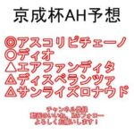 京成杯オータムハンデ2024 AI予想