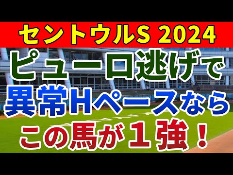 セントウルステークス2024 競馬YouTuber達が選んだ【確信軸】ピューロ逃げで異常Hペースなら、この馬が１強！