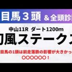 【2024初風ステークス】競馬予想｜注目馬の1頭は前走落鉄の影響が大きかった〇〇〇〇〇〇！