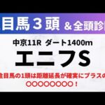 【2024エニフステークス】競馬予想｜注目馬の1頭は距離延長が確実にプラスの〇〇〇〇〇〇〇〇！