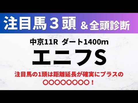 【2024エニフステークス】競馬予想｜注目馬の1頭は距離延長が確実にプラスの〇〇〇〇〇〇〇〇！