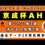 【京成杯オータムハンデ2024】過去データ10項目解析!!買いたい馬3頭と消せる人気馬1頭について(競馬予想)