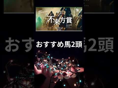 不来方賞2024の競馬予想。おすすめ馬2頭。