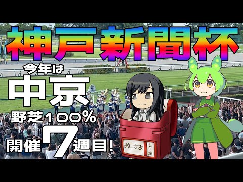 激荒れ！【2024年神戸新聞杯ゆっくり競馬予想】今年は中京2200Mで開催。夏の中京は野芝100%！更に連続8週開催の7週目！外が完全に伸びますね！