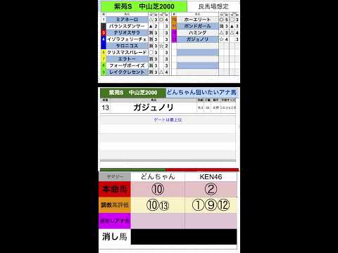 【競馬予想ライブ】セントウルステークス2024　紫苑ステークス　京成杯AH　|全頭診断と買い目や調教とか展開