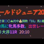 ゴールドジュニア2024予想【大井競馬】AI予想＋調教診断＋買い目