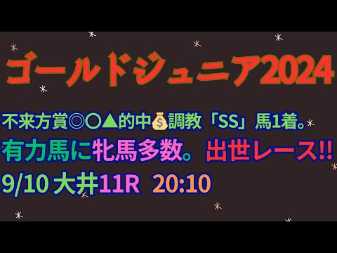 ゴールドジュニア2024予想【大井競馬】AI予想＋調教診断＋買い目