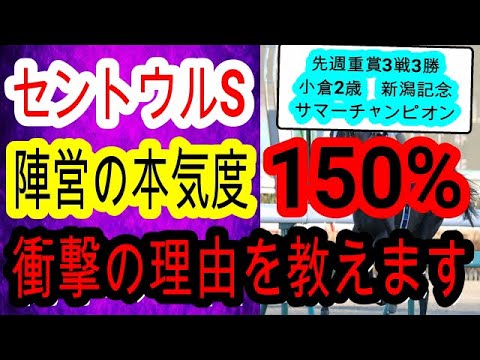 【競馬予想】セントウルステークス2024　スプリンターズSを捨ててここを全力で勝ちに来る馬がいます！！　ママコチャ　ピューロマジックは危険