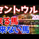 【競馬予想】セントウルステークス2024　くる馬orこない馬