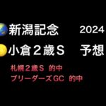 【競馬予想】　新潟記念　小倉2歳ステークス　2024  予想