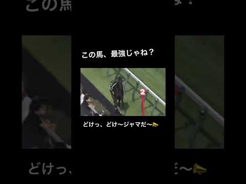 最強馬ランキング 競馬予想 ライブ 最強王図鑑 最強ちゃん 最強馬論争 最強馬券 ゆっくり 最強の推し マラソン24時間テレビ オリンピック やす子