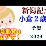 【競馬】新潟記念 小倉2歳S  2024 予想(佐賀サマーチャンピオンはブログで)