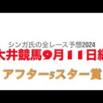 9月11日大井競馬【全レース予想】2024アフター５スター賞