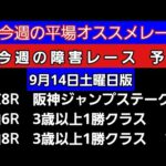 [平場オススメレースと障害レースの予想]9月14日土曜日版 阪神ジャンプステークス　3歳以上1勝クラス